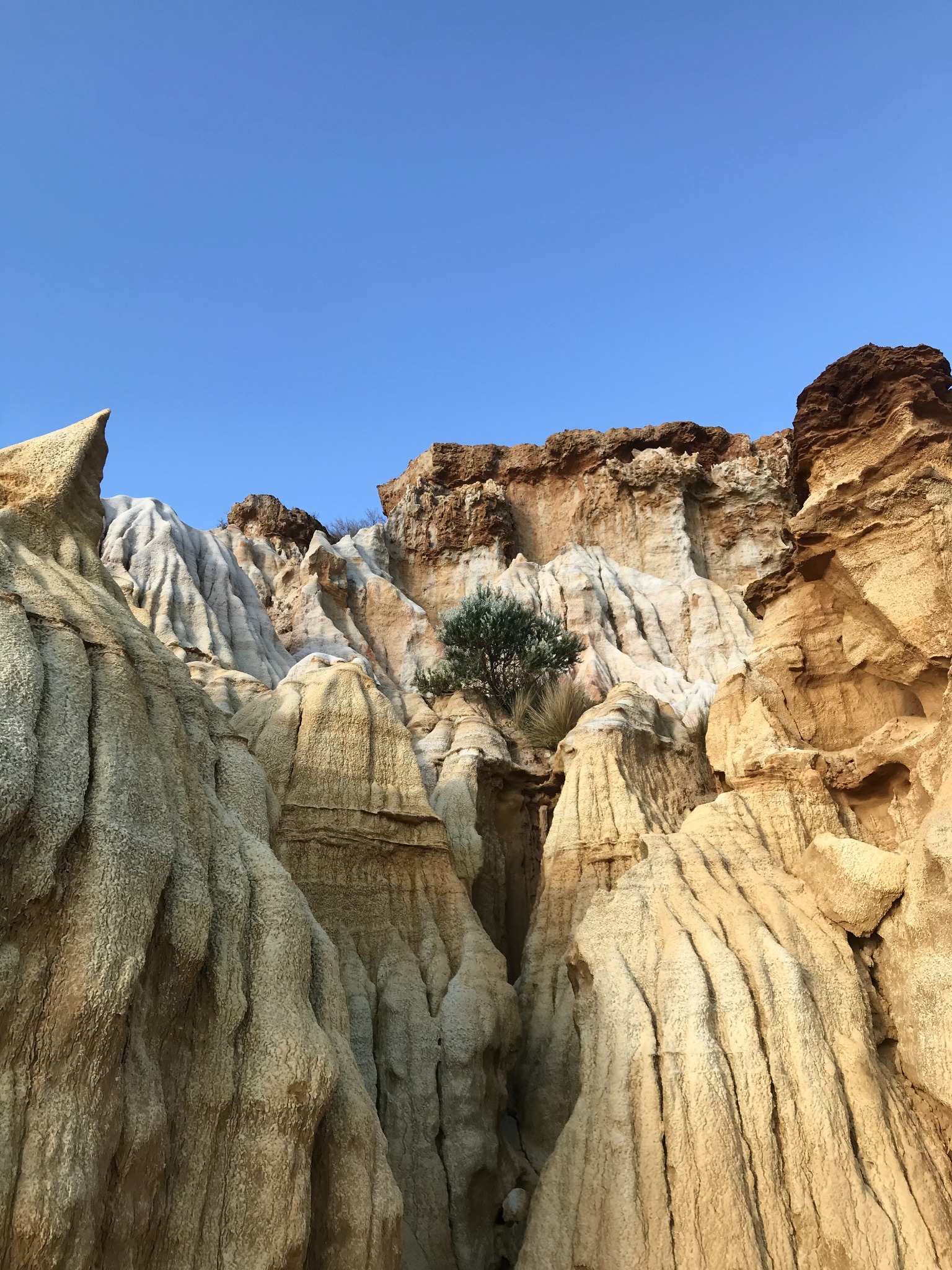 Pale cliffs