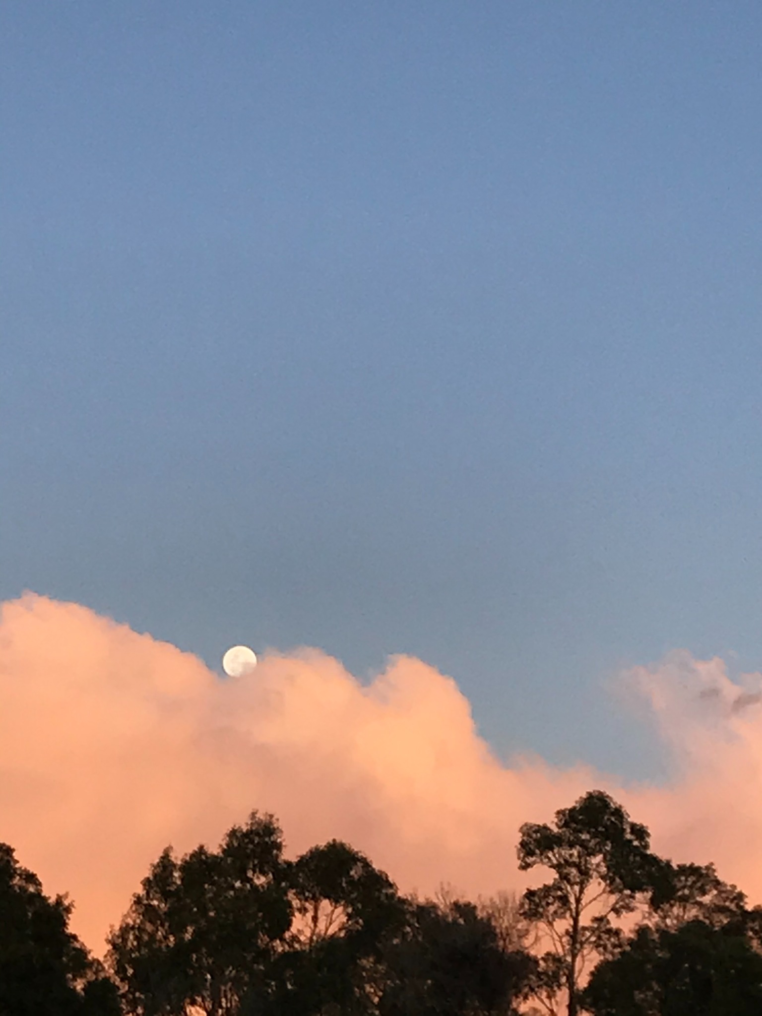 Moon and pink clouds
